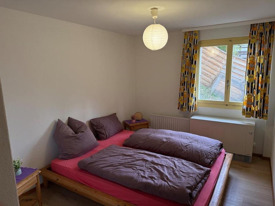 Cozy apartment Apartment in Canton of Valais