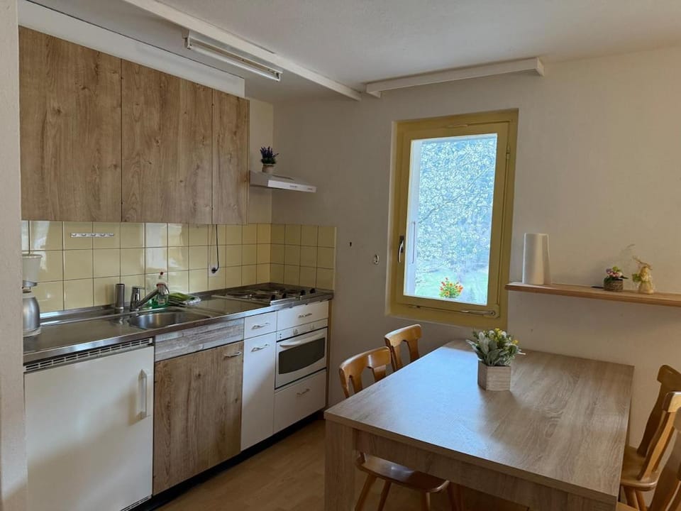 Cozy apartment Apartment in Canton of Valais