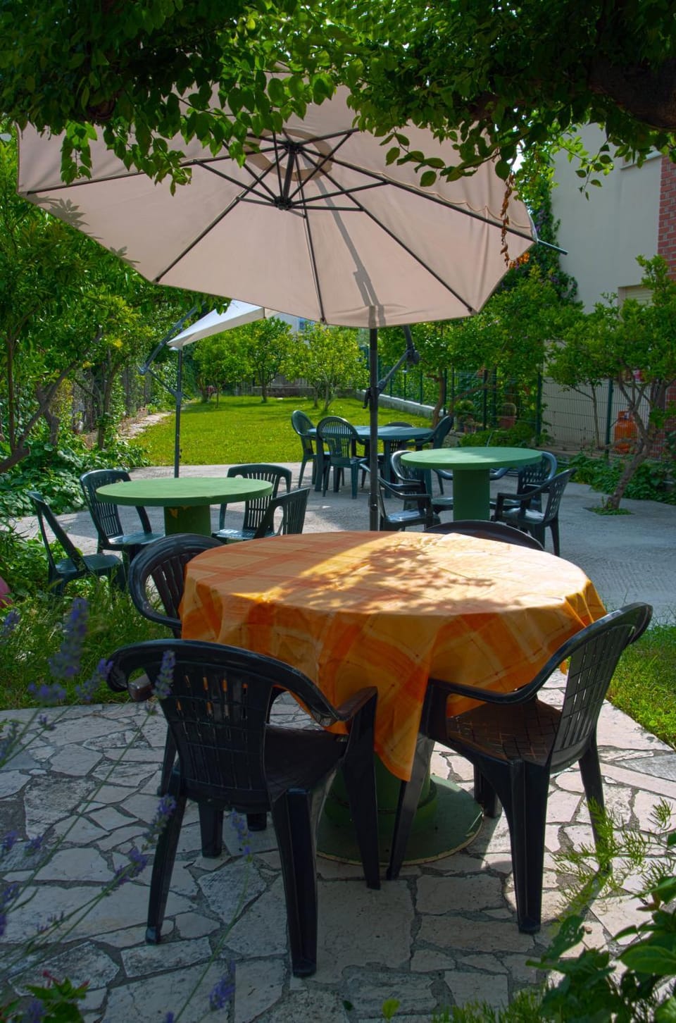Garden view