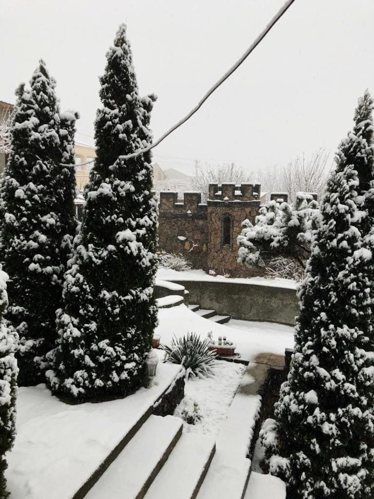 Winter, Garden
