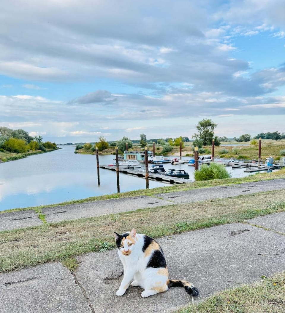 Natural landscape, River view