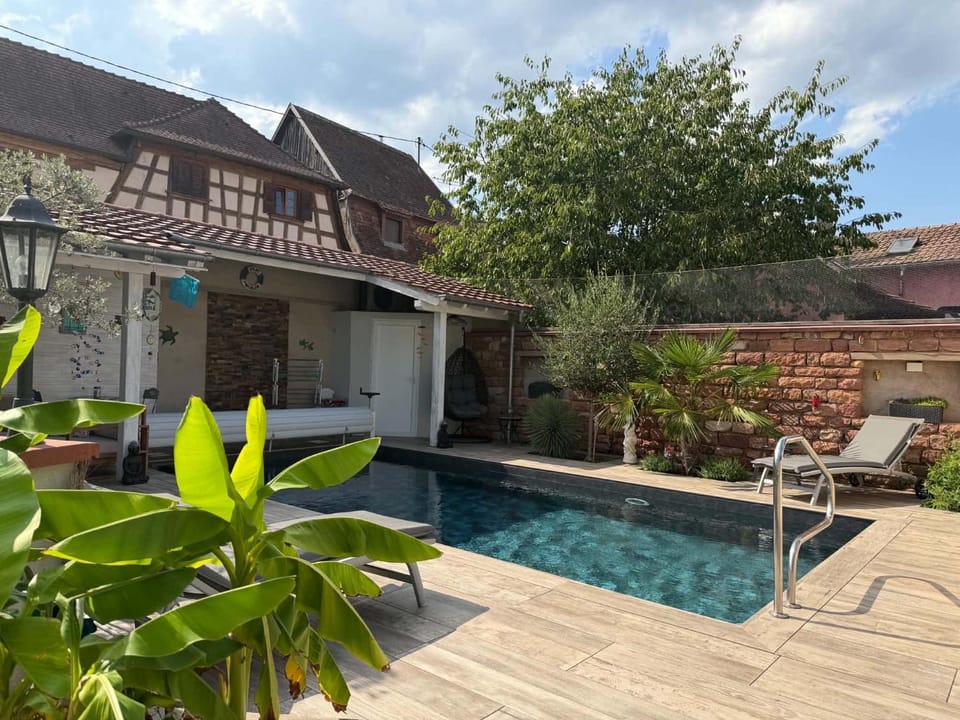 Garden, Pool view, sunbed