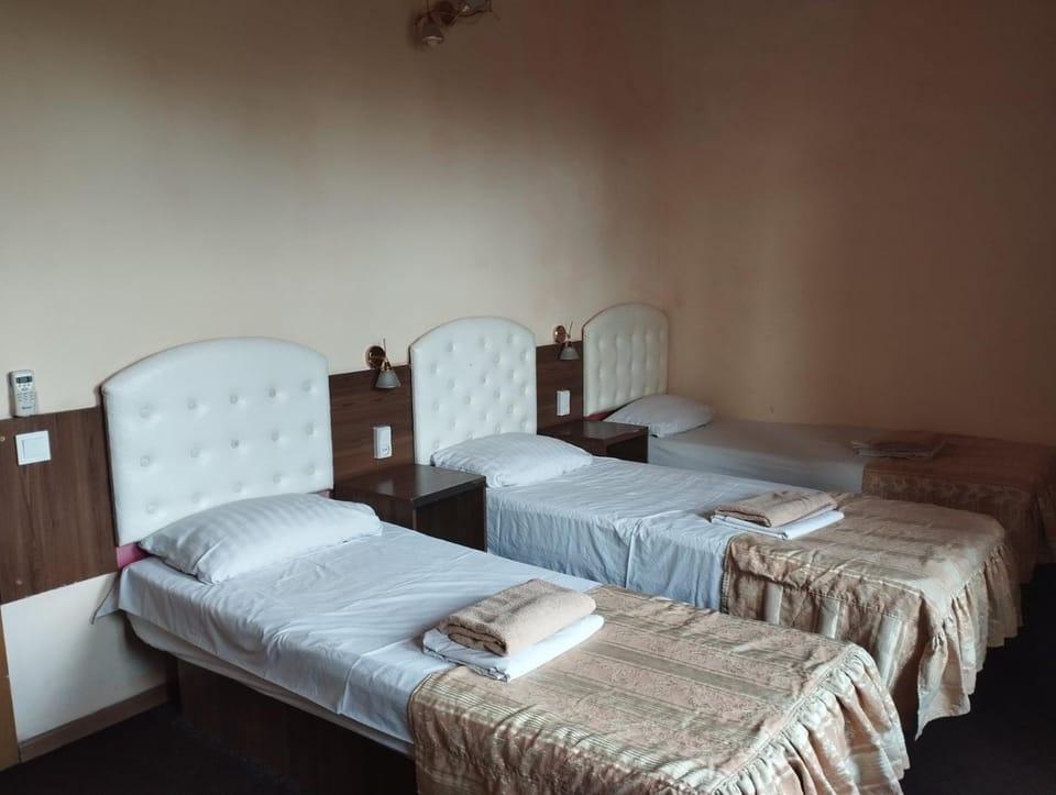 Hostel Shellman Hostel in Odessa
