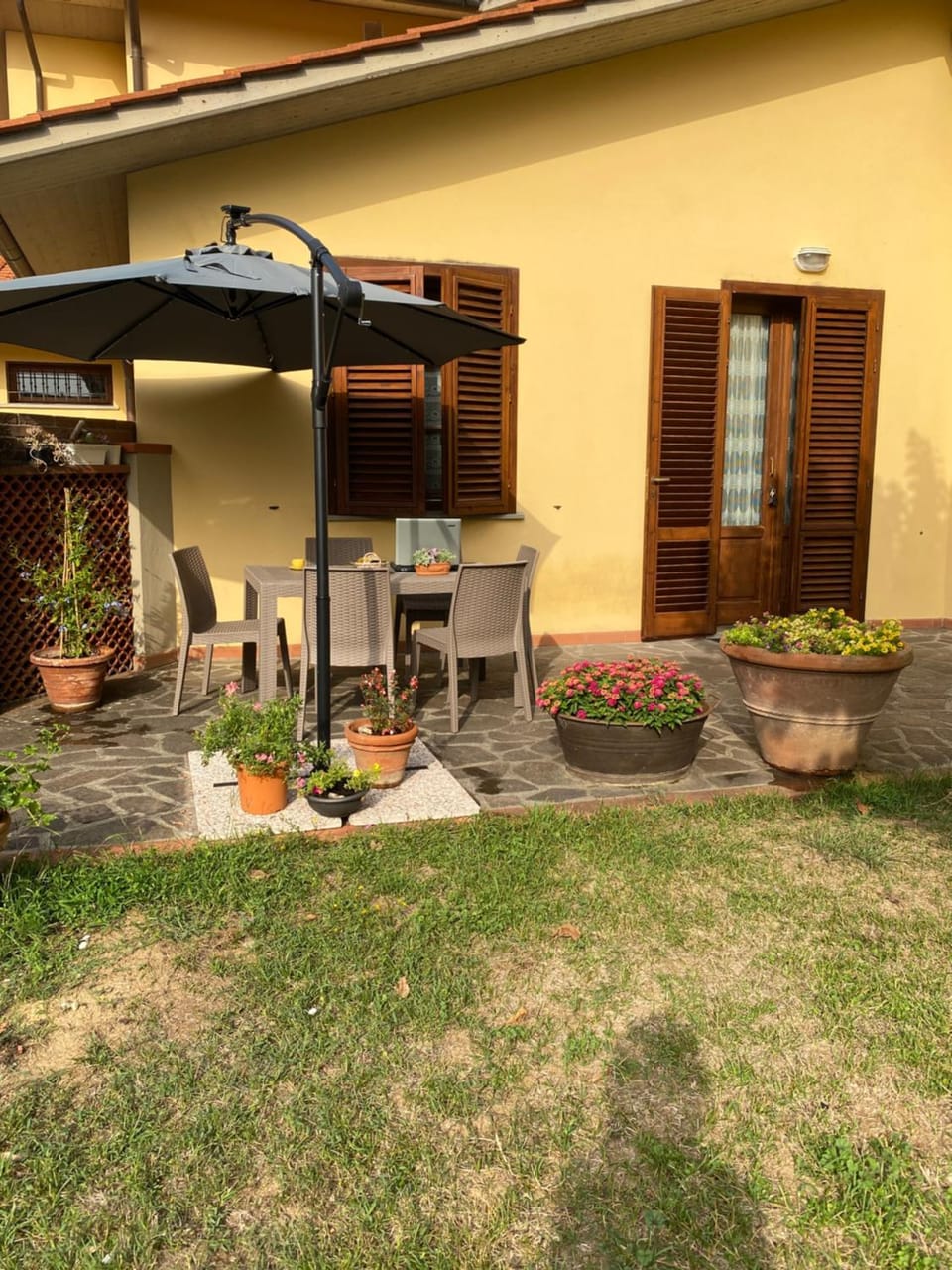 Garden