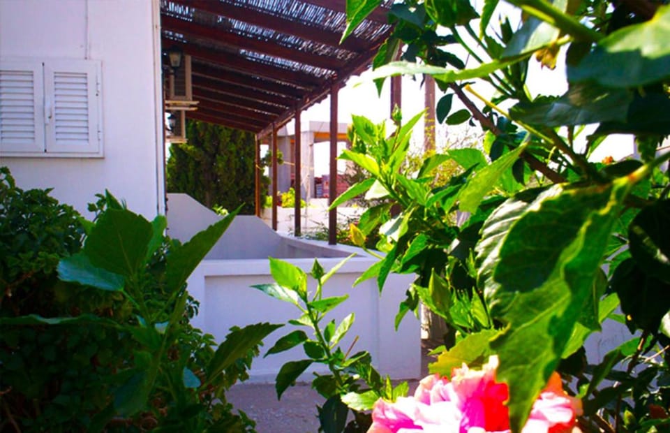 Off site, Day, Summer, Garden view