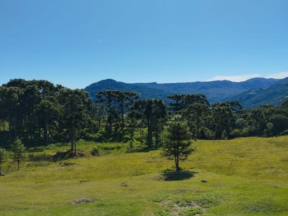 Cabana Green Mountain Chalet in State of Santa Catarina