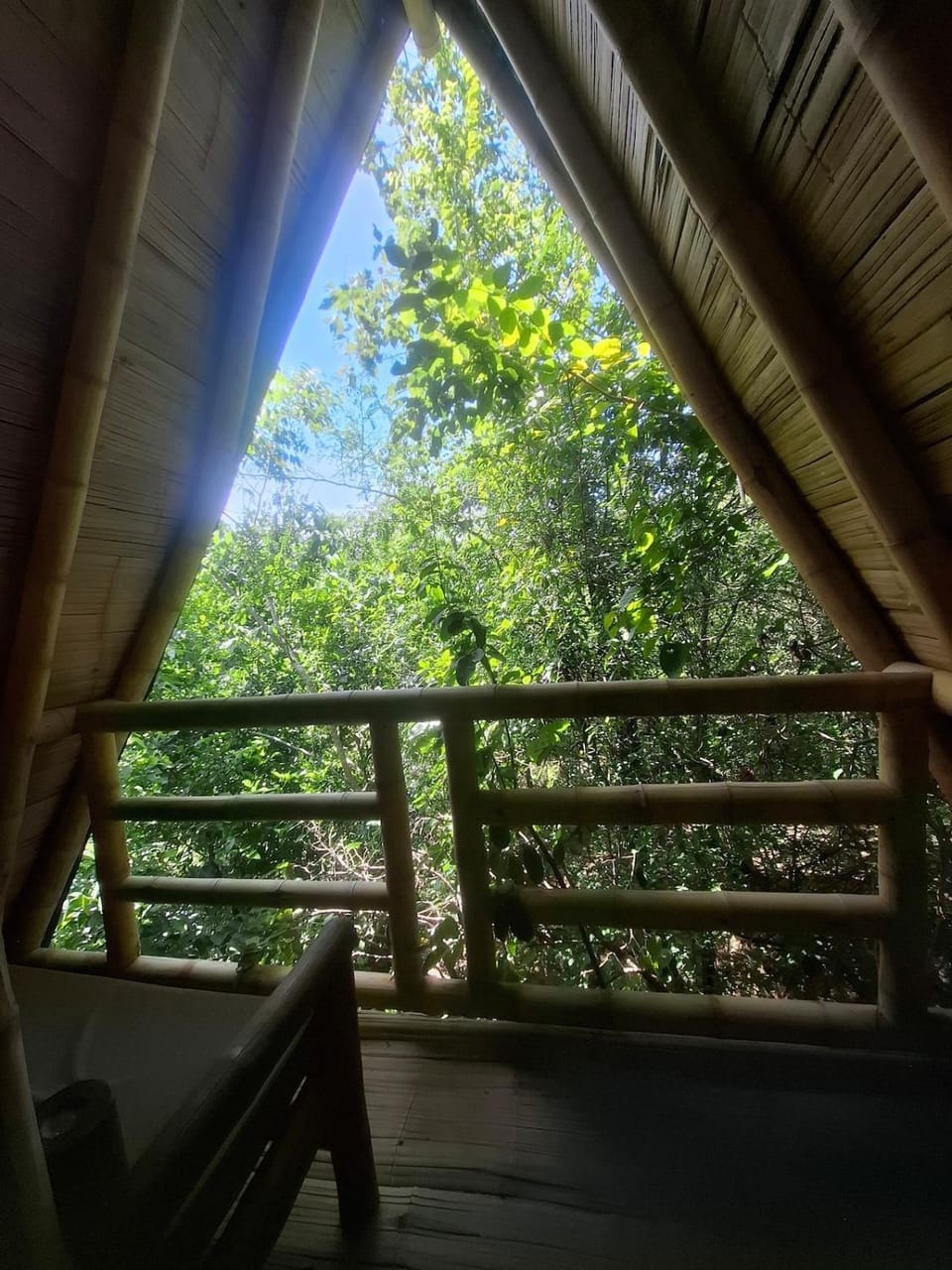 Glamping 3 Luxury tent in Antioquia