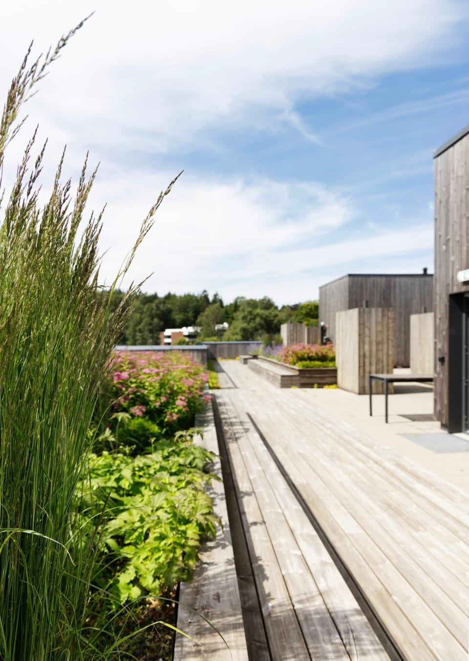 Urban Living with Nature at Your Doorstep Apartment in Oslo