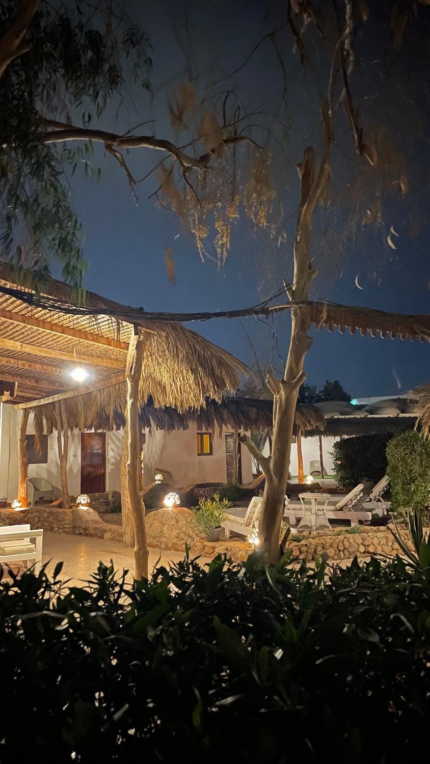 Sunshine Divers Club & Home Hotel in Sharm El-Sheikh
