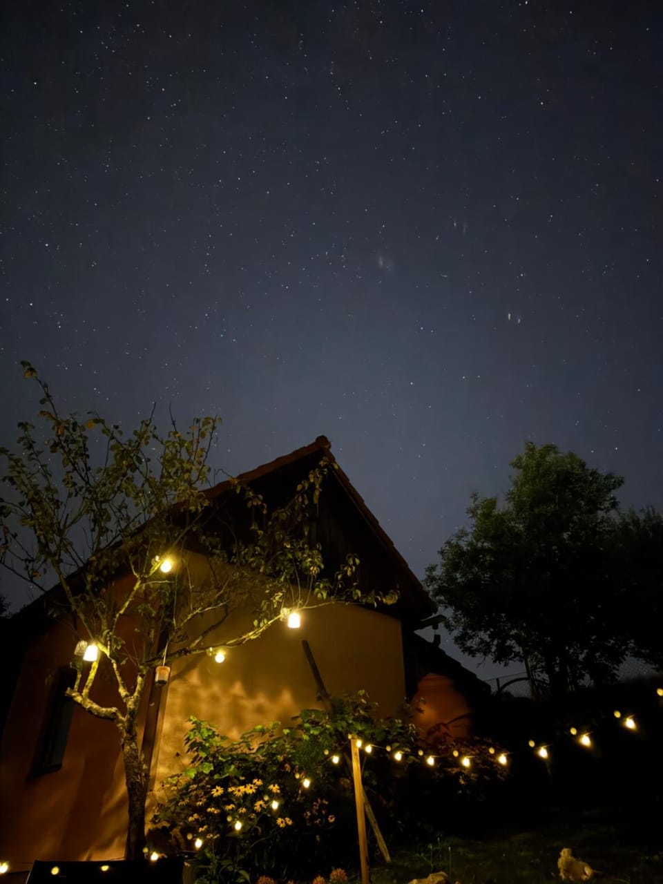 Night, Garden