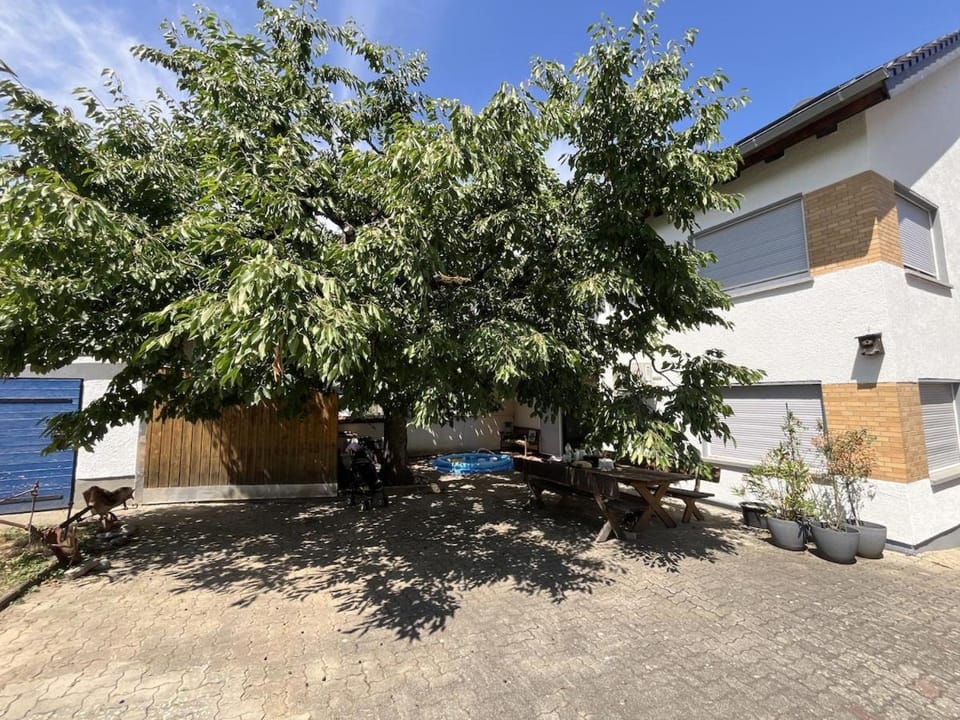 Property building, Garden