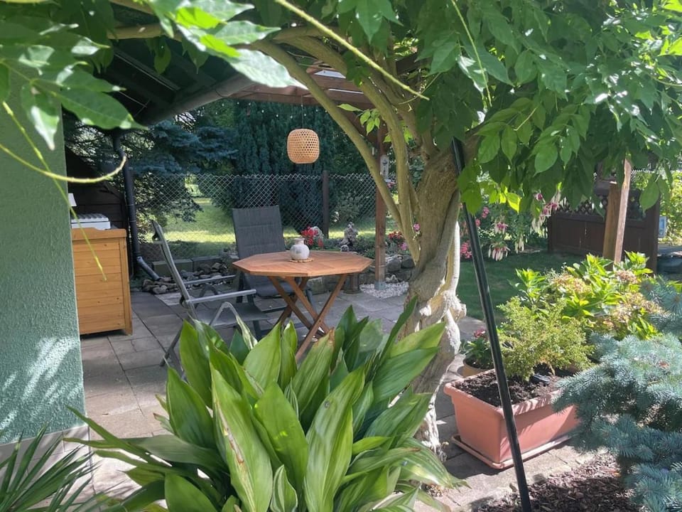 Garden, Dining area