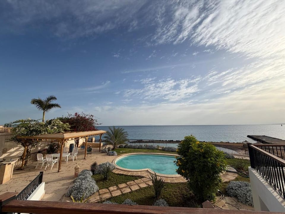 Garden, Pool view, Swimming pool