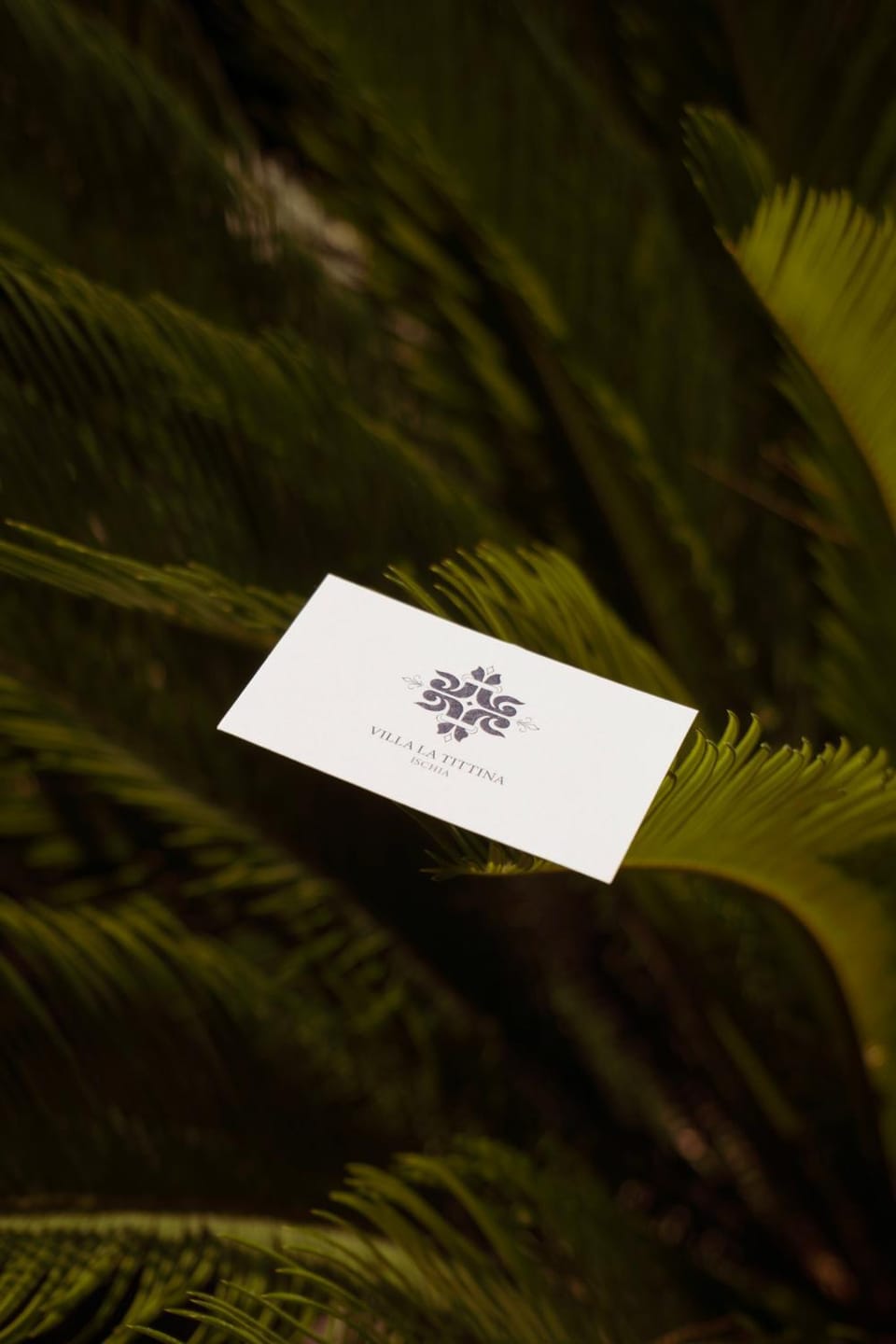 Logo/Certificate/Sign