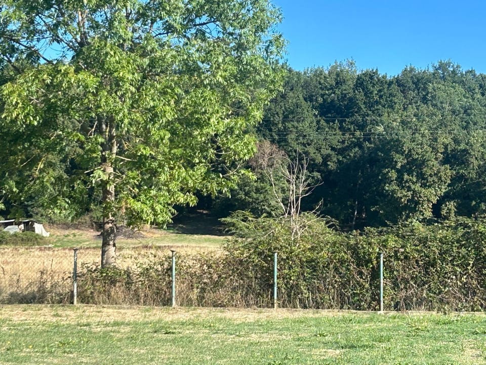 Natural landscape, Garden, Garden view