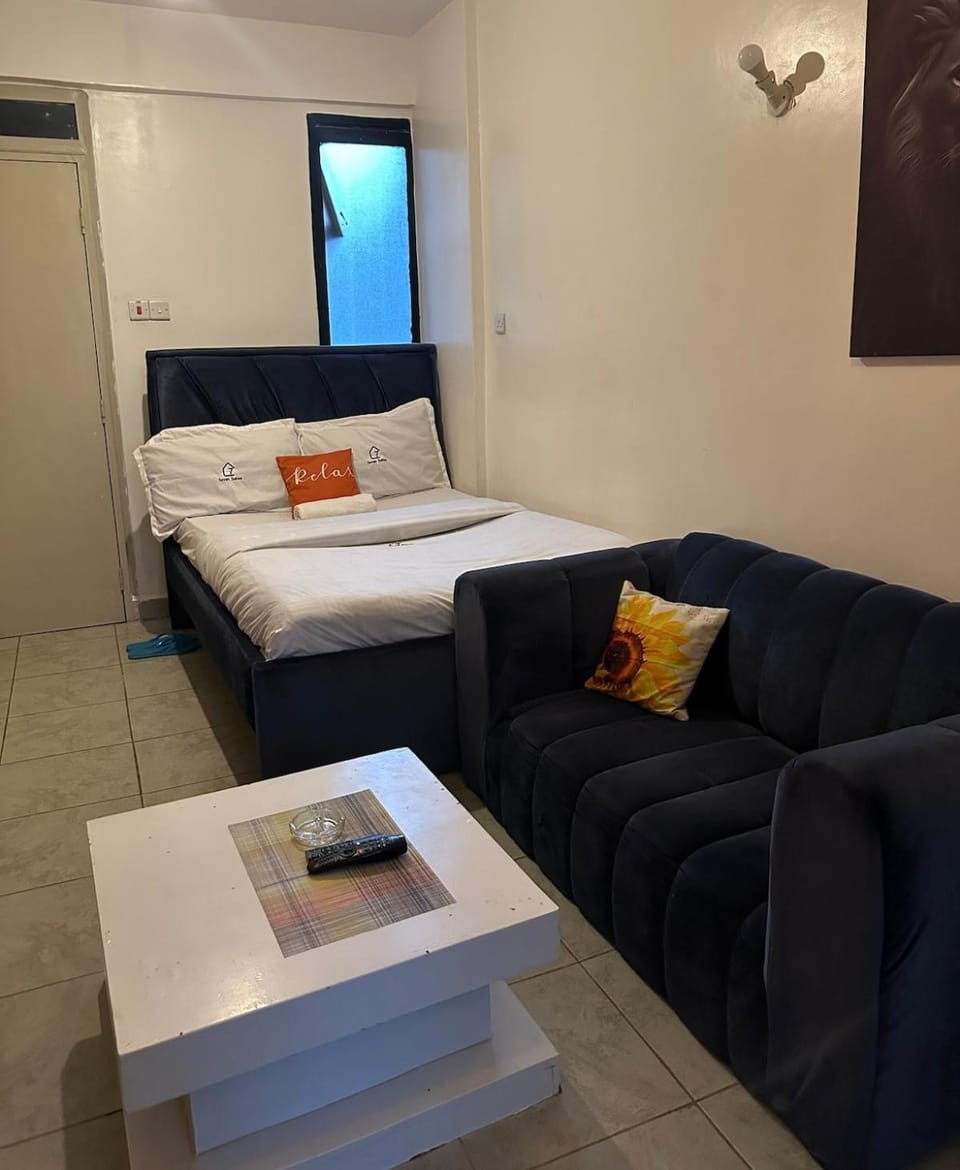 Studio in Thika Road Roysambu near TRM Apartment in Nairobi County