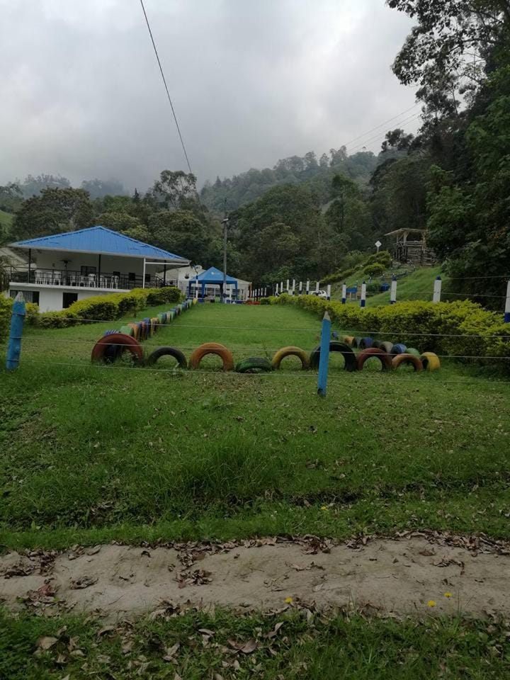 Natural landscape