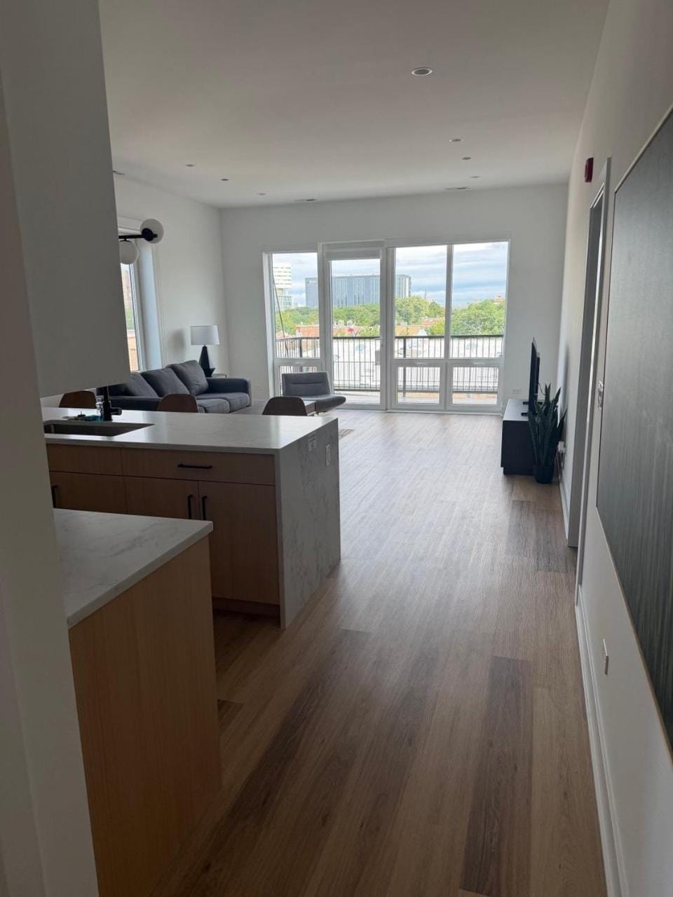 Living room, kitchen