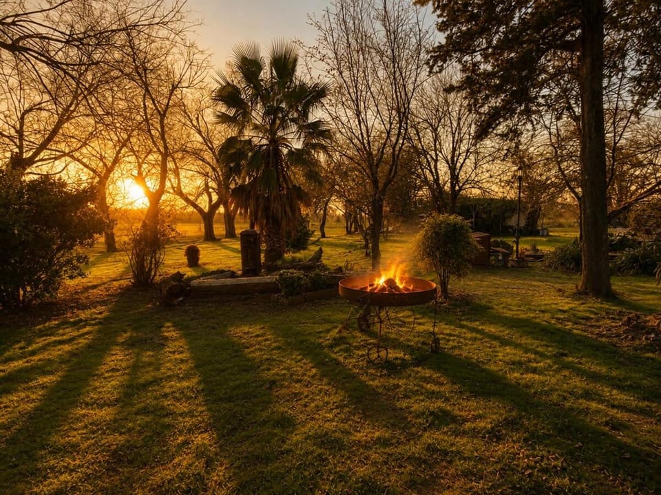 Spring, Day, Natural landscape, Garden, Garden view, Sunrise, Sunset