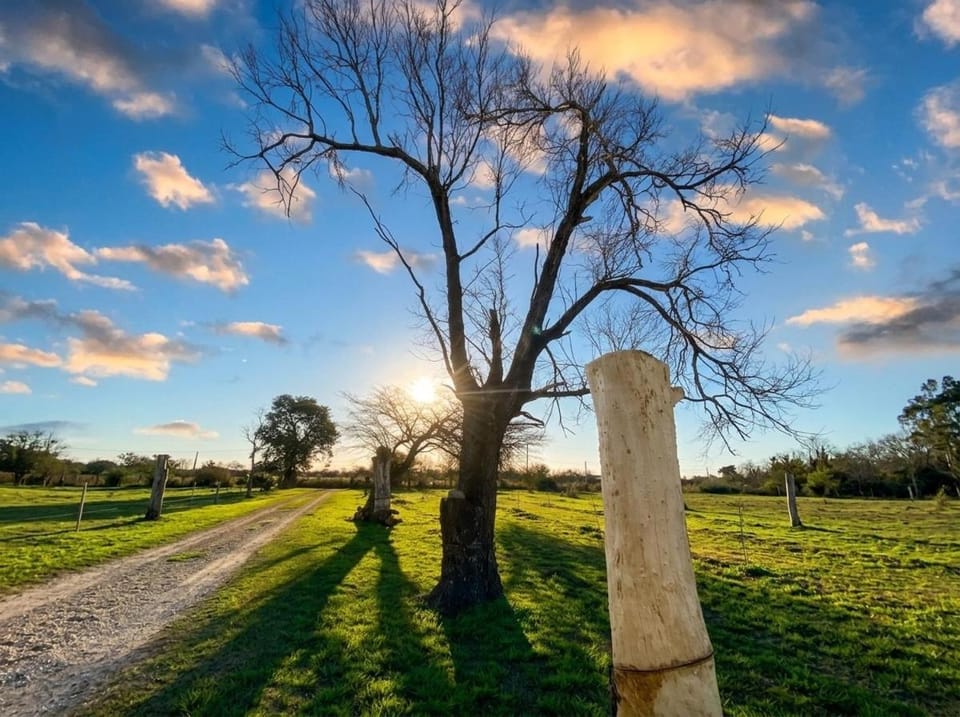 Nearby landmark, Spring, Day, Natural landscape, Garden, Garden view