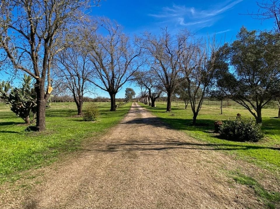 Spring, Day, Natural landscape, Garden, Garden view