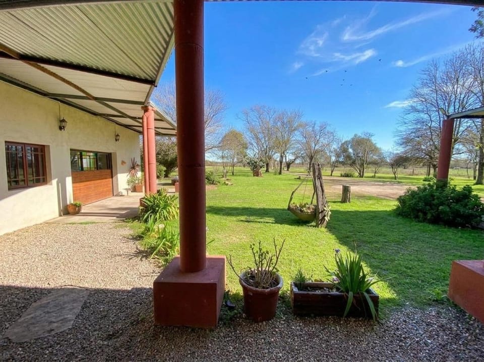 Property building, Spring, Day, Garden, Garden view