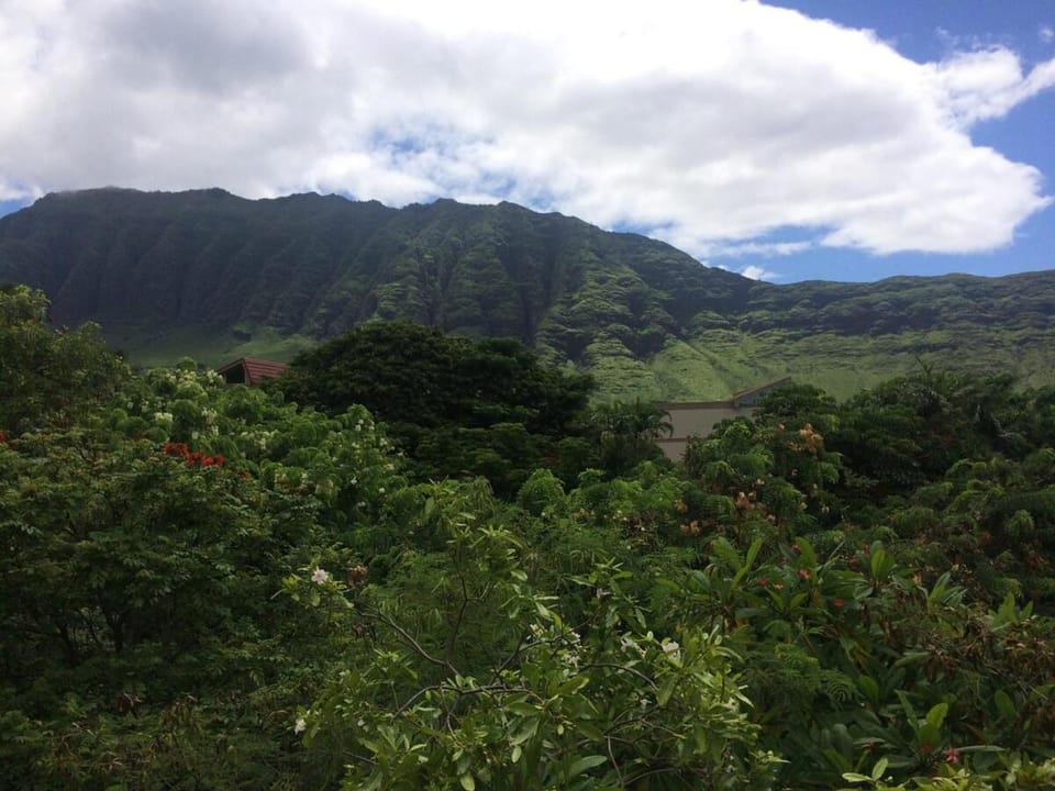 Heavenly Hawaii 4 Bed Ocean View House in Makaha Valley