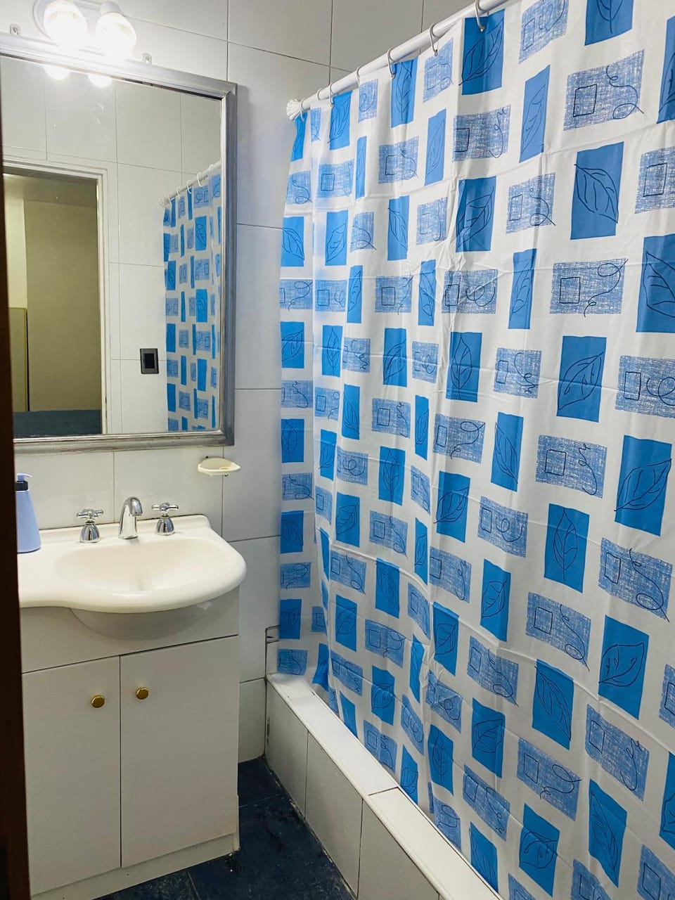 Séptimo D Apartment in Mendoza