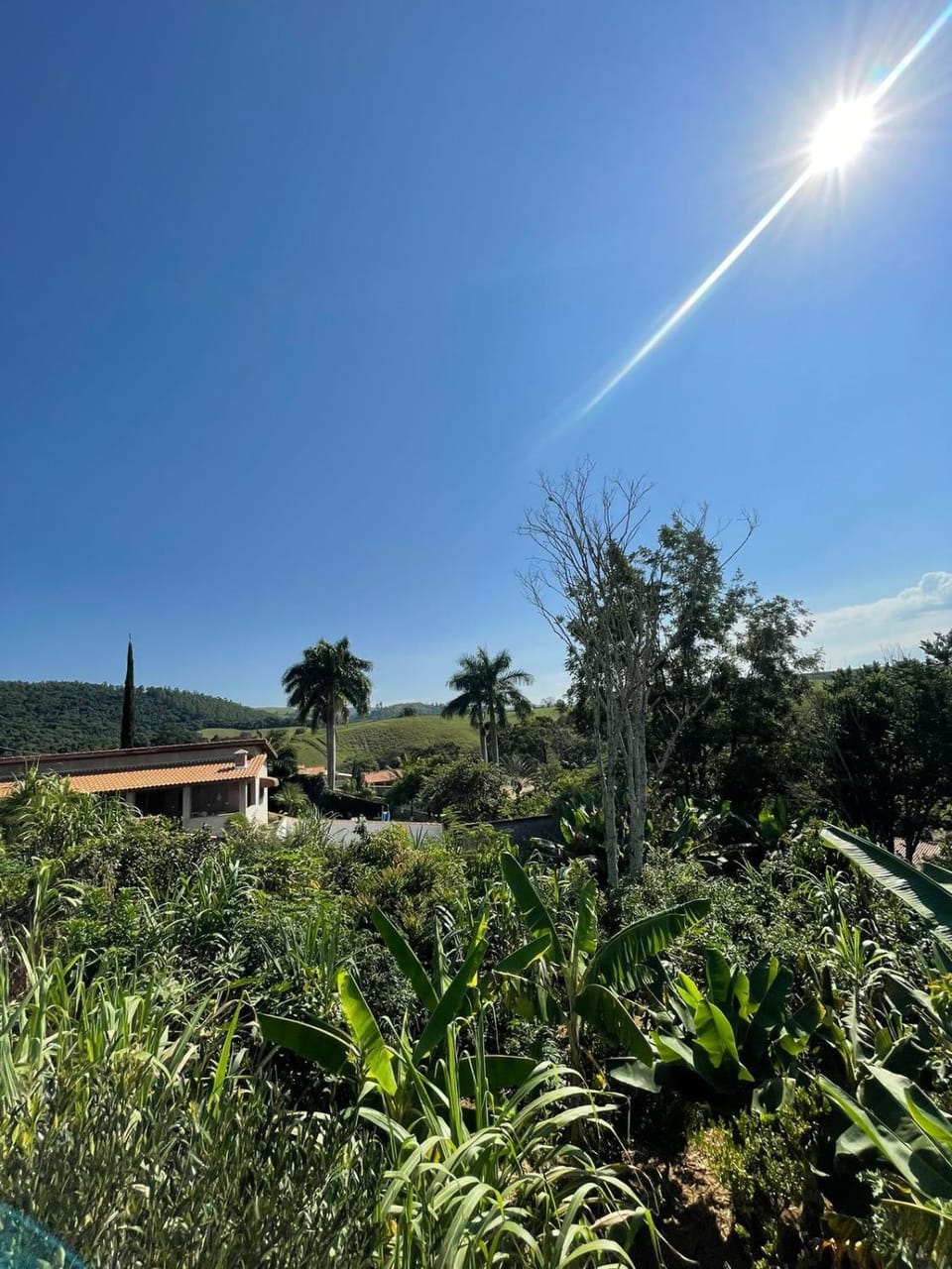 Chácara Videira House in Socorro