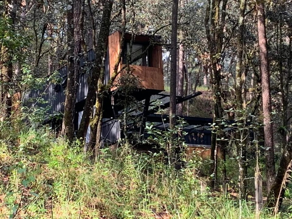 Container House en el bosque con jacuzzi privado House in State of Mexico
