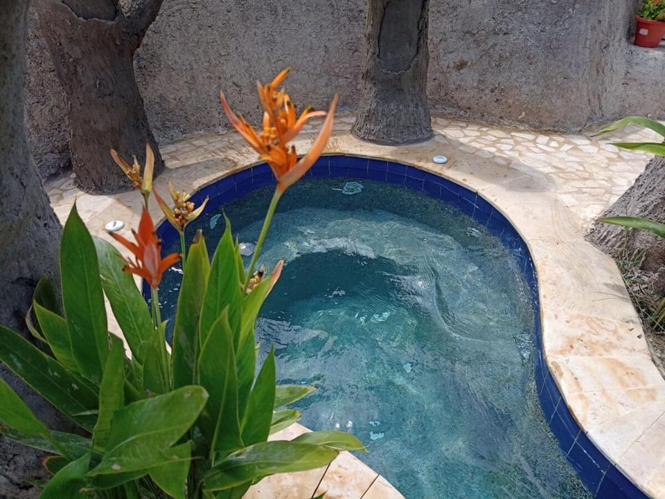 Wonderful glamping with pool 2 Luxury tent in Antioquia