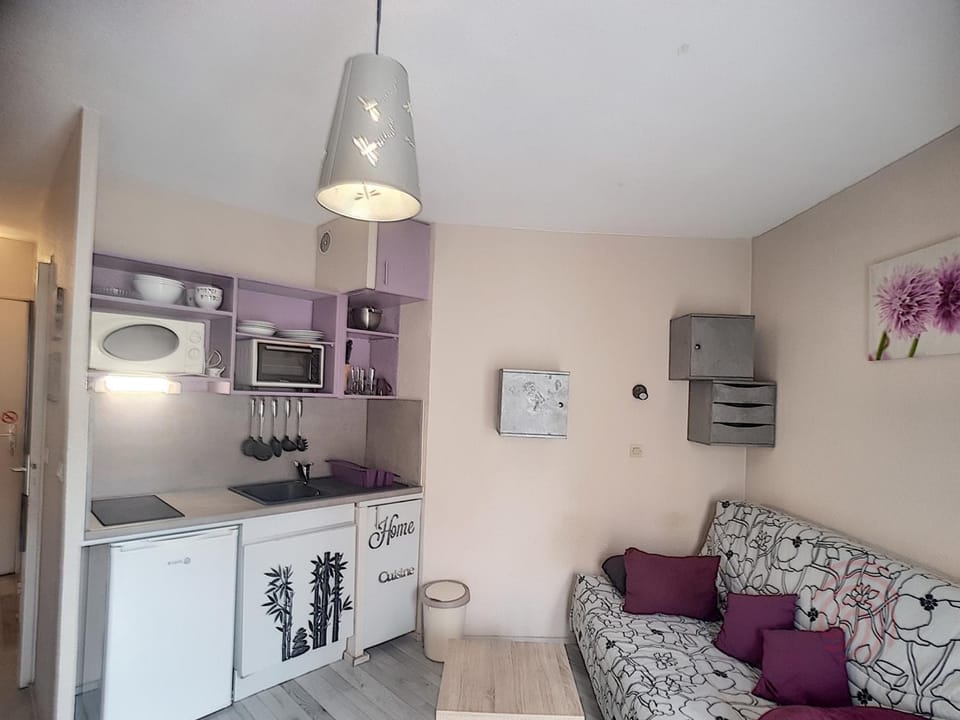 Studio avec balcon, animaux admis - 2 pers. - FR-1-451-232 Apartment in Occitanie