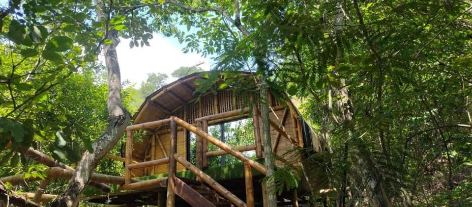 Glamping Familiar Luxury tent in Antioquia