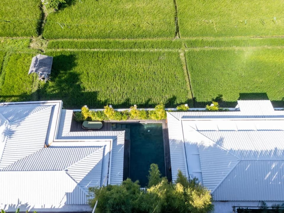 VIlla The Dreamtime Lodge Pool Rice Fields Villa in North Kuta
