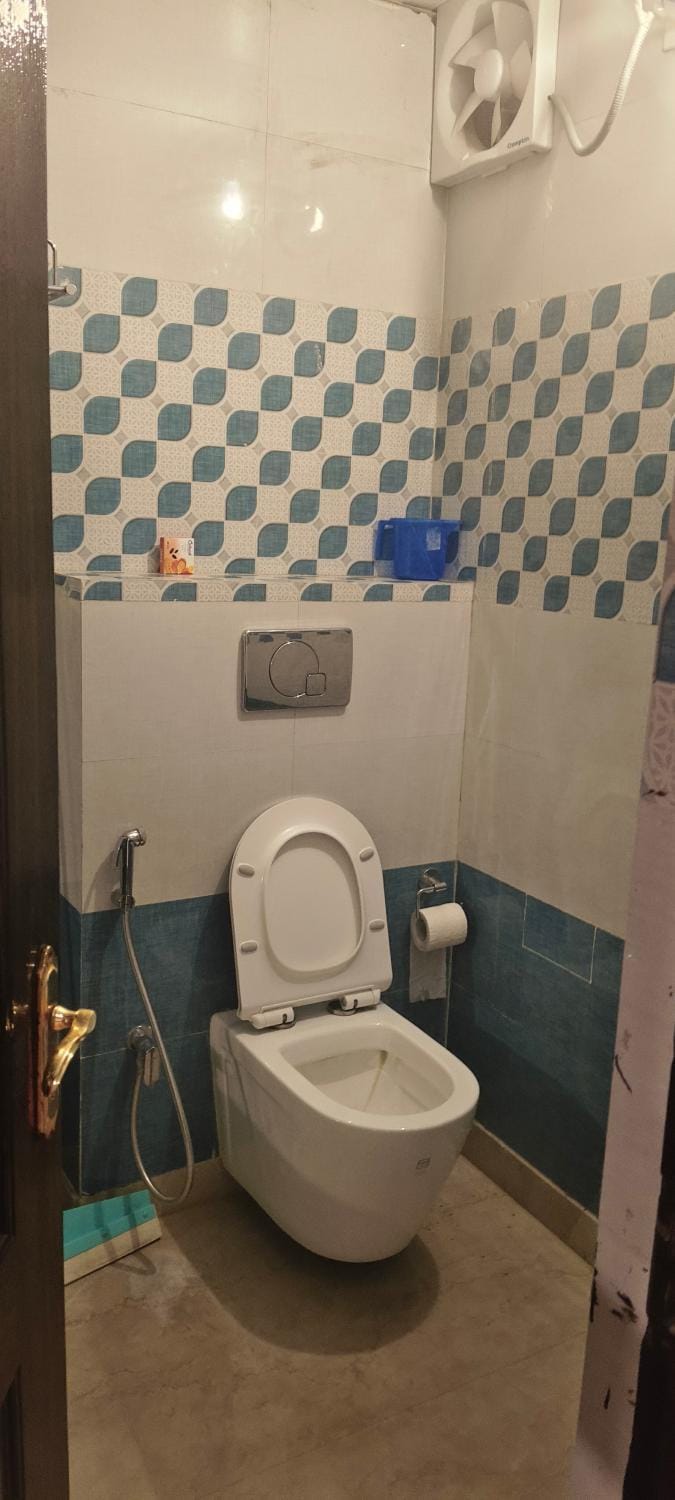 Shower, Toilet, Bathroom, bidet