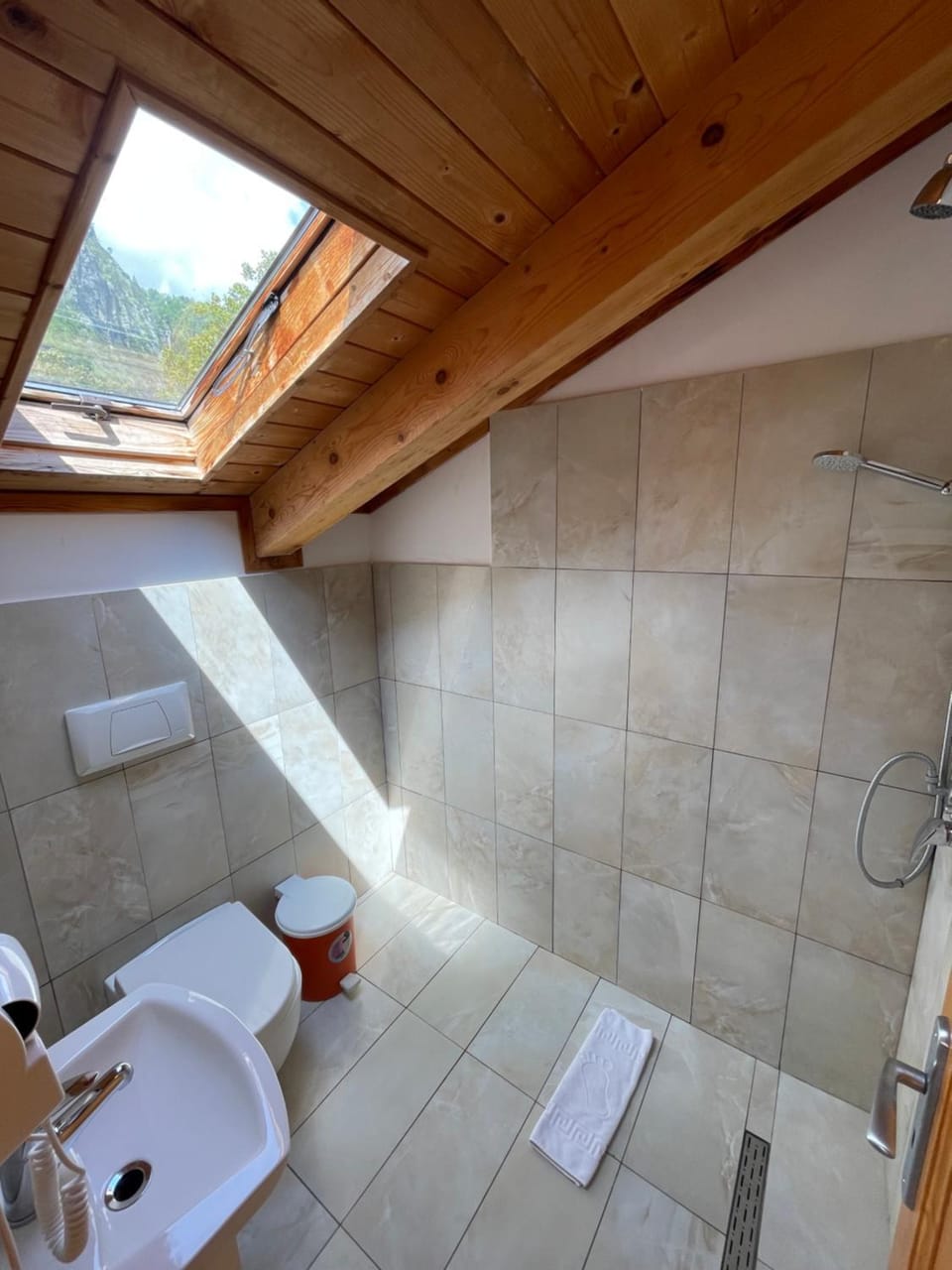 Shower, Toilet, Bathroom