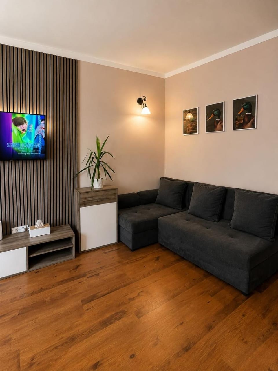KacsaLak Tata Apartment in Hungary