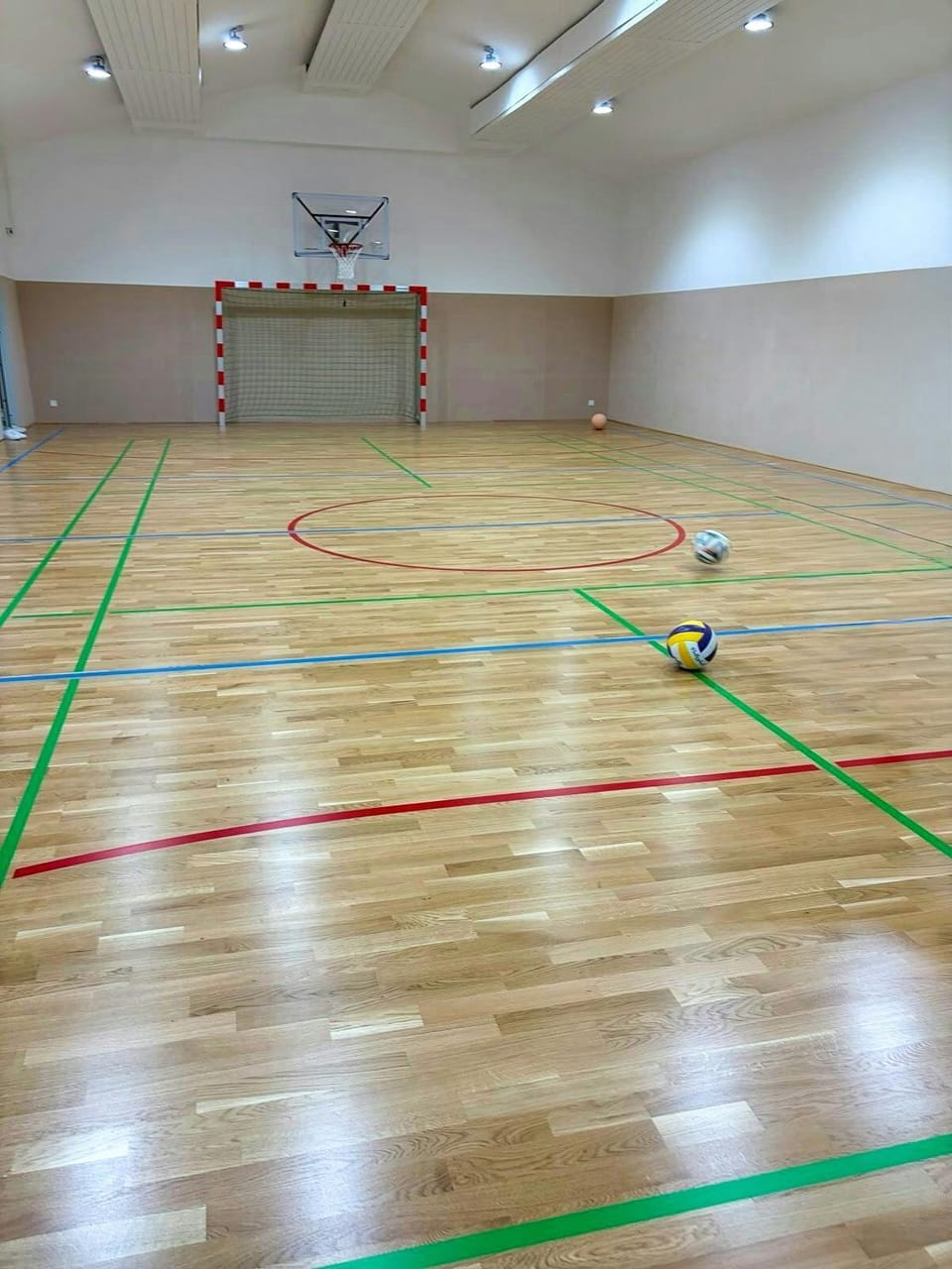 Old farmhouse with its own sports hall House in Heidekreis