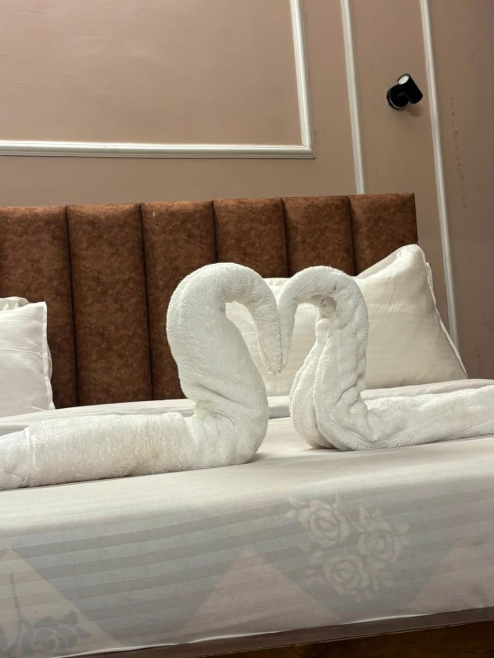 Trishul Express Budget Friendly stay Hotel in Uttarakhand