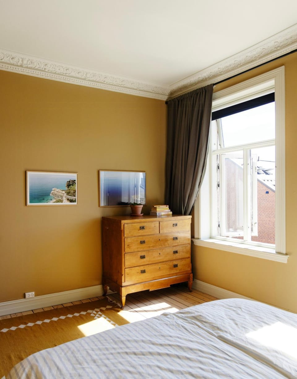 Classic 1896 apartment in central Oslo Apartment in Oslo