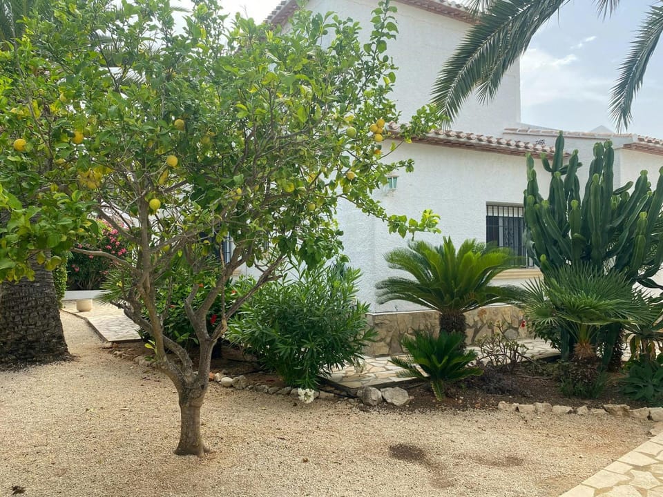 Family villa with pool in Javea House in Marina Alta