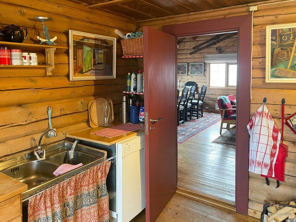 Charming mountain cabin near Hemsedal Cabin in Viken, Norway
