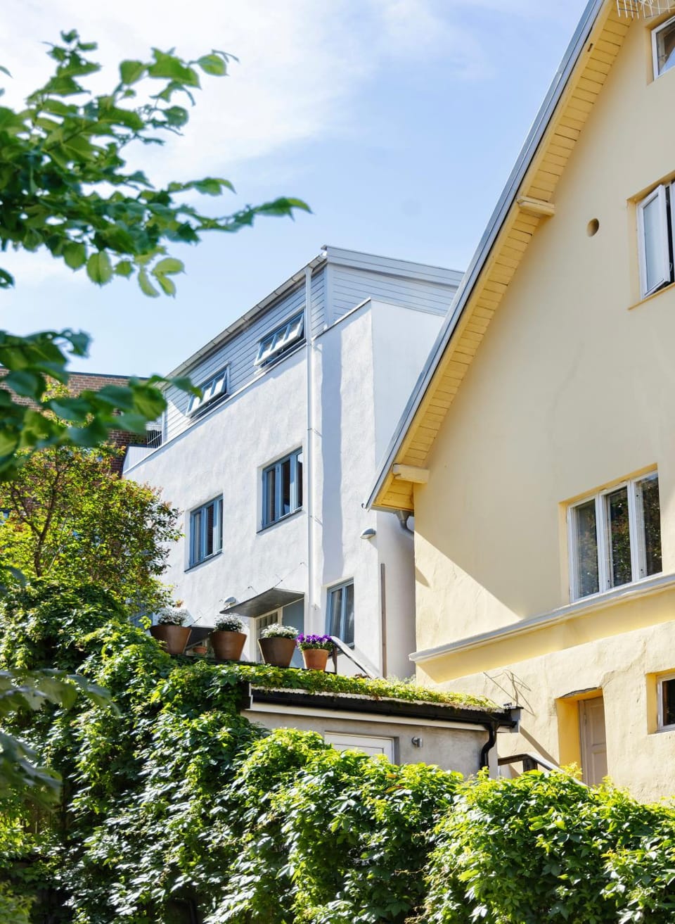 Architect-designed townhouse with roof terrace House in Oslo