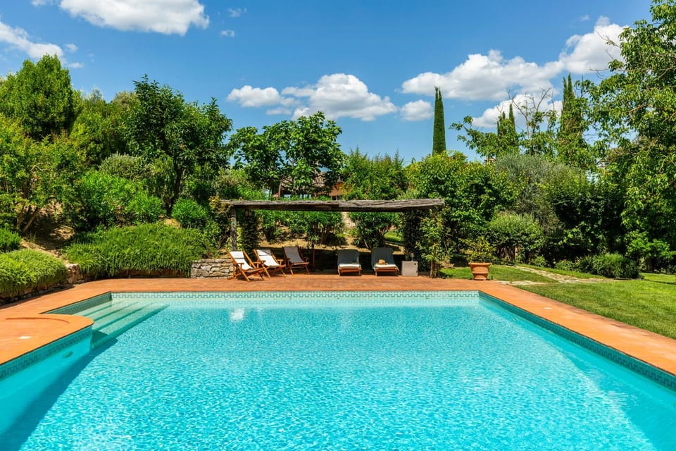 Natural landscape, Garden, Garden view, Pool view, Swimming pool, sunbed