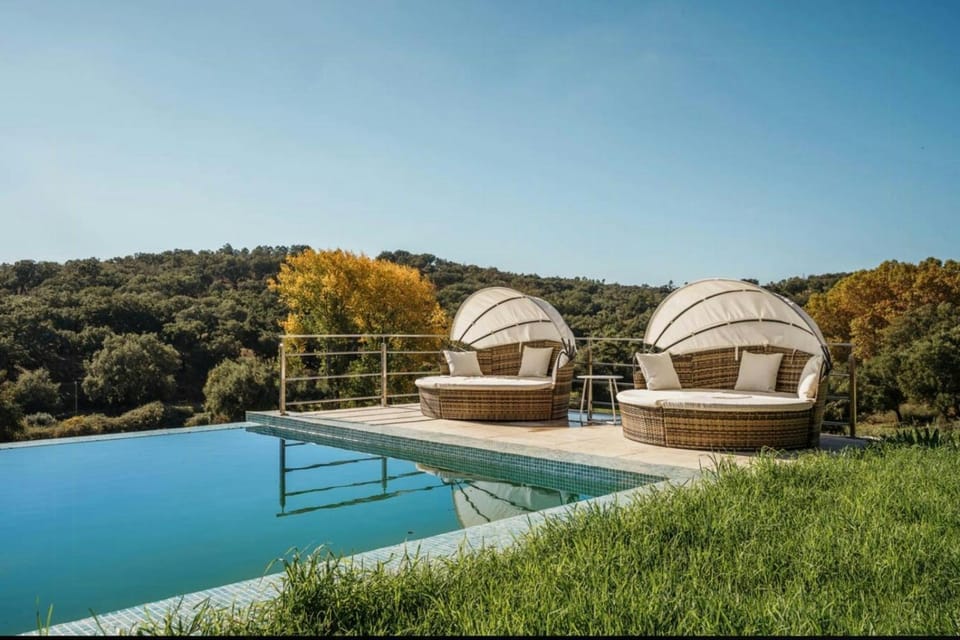 Border design estate with historic olive grove House in Badajoz
