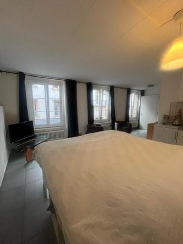 Grand studio au centre ville de Neuchâtel Apartment in Neuchâtel