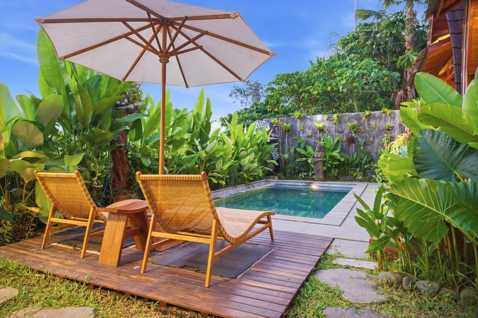 Garden, Pool view, Swimming pool, sunbed
