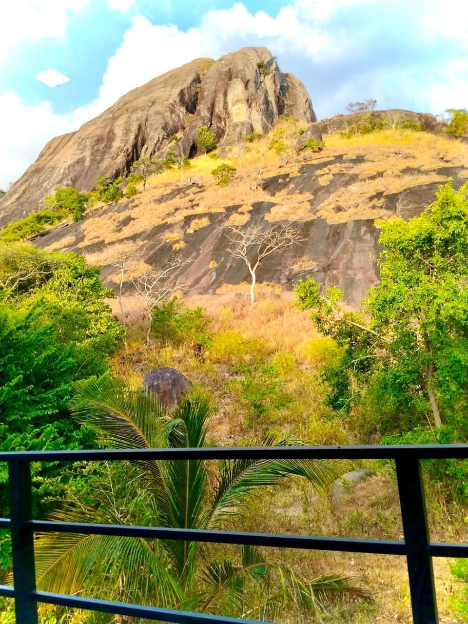 Heaven heights lodge Nature lodge in Dambulla