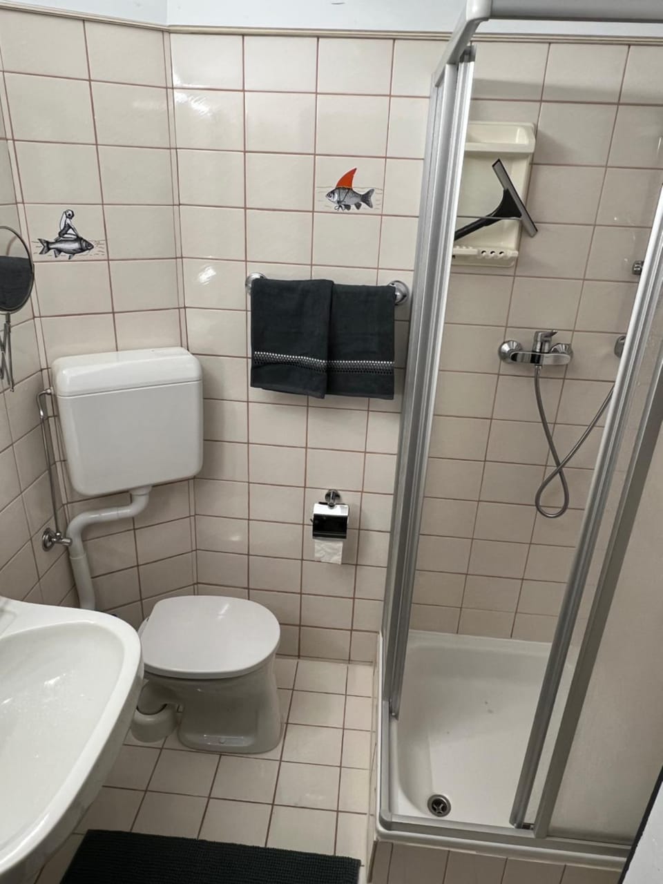 Shower, Toilet, Bathroom, towels