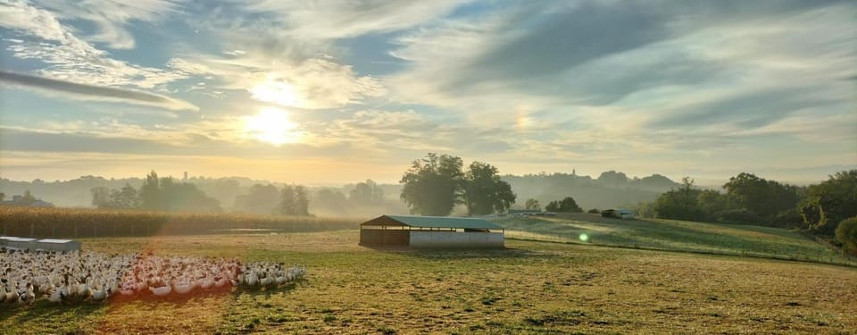 Natural landscape, Sunrise